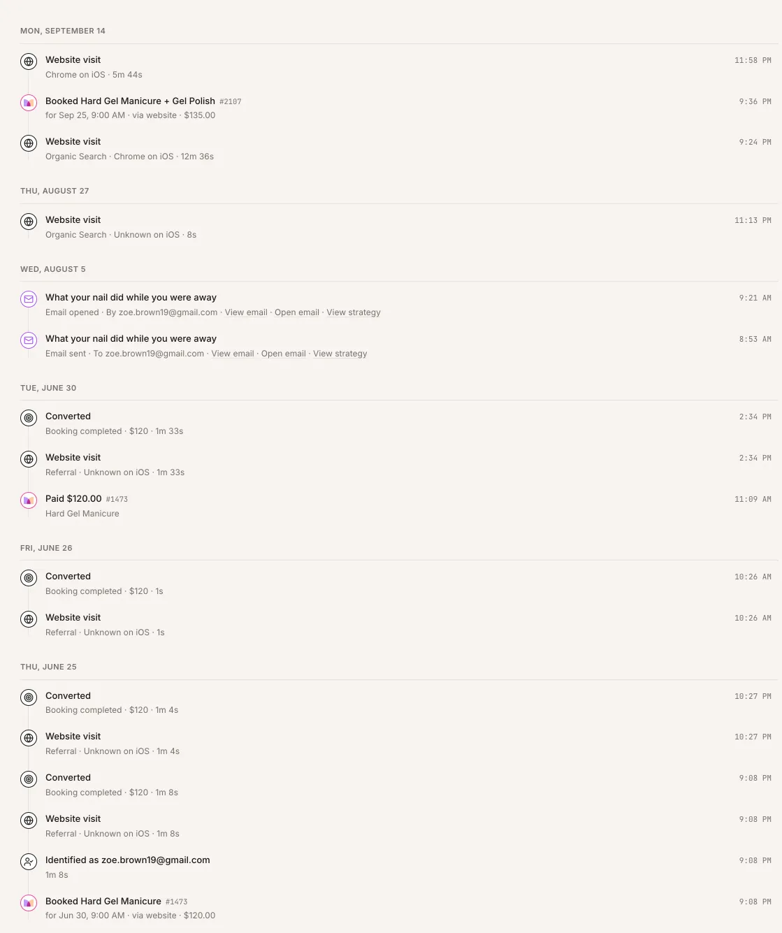 A customer's timeline in 314: website visits, an email sent and opened, a booking and payments, grouped by day